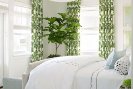 Drapes and fiddle-leaf fig tree add color to the white bedroom