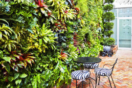 FloraFelt Vertical Garden on Cafe Wall