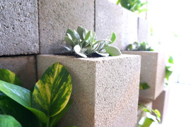 Golden pothos and Kalanchoe in a cinder block wall
