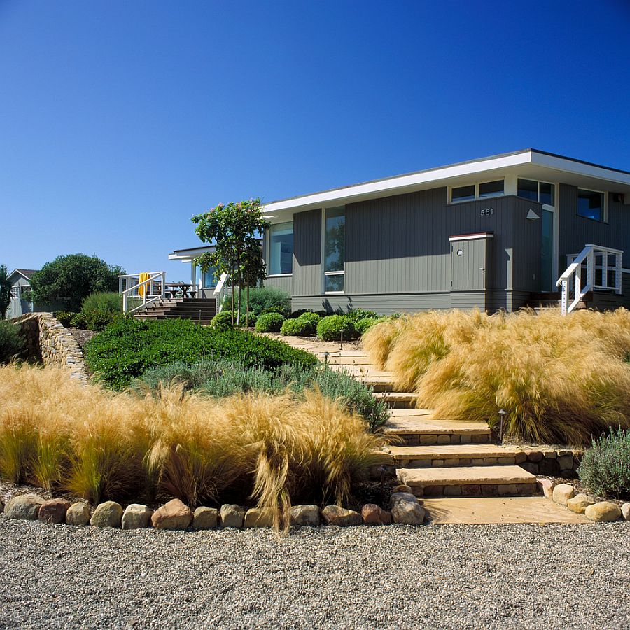 Mexican feather grass shapes the gorgeous landscape around the beach style retreat