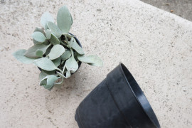 Plastic pots make this project easier