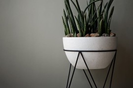 Sculptural planter from West Elm