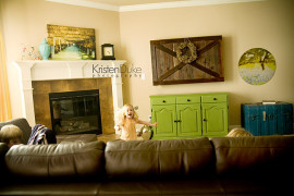 Sliding Barn Door TV Cover in Living Room