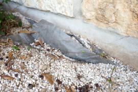 Weed barrier fabric rears its ugly head