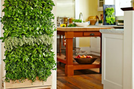 Williams Sonoma Freestanding Vertical Garden for Kitchen