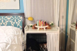 A clever way to hide a regular dog crate