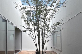 Courtyard with rock garden and surrounding deck