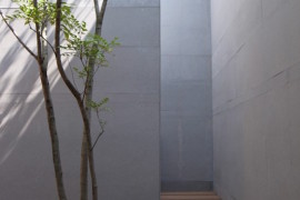 Courtyard with tall walls and a tree growing through the deck
