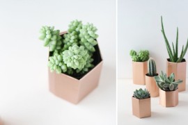 DIY hexagon planters from Curbly