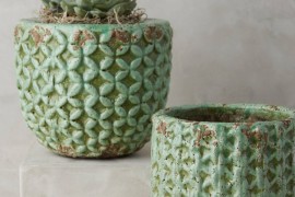 Garden pots from Anthropologie