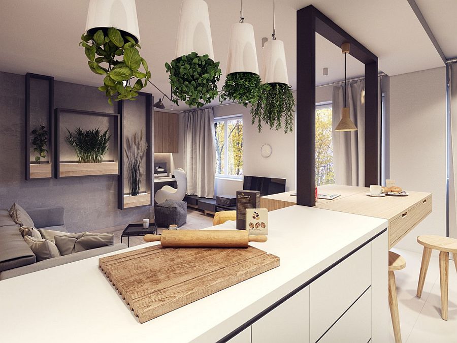 Ingenious way to add greenery to the kitchen and living room