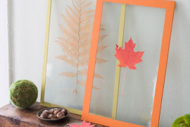 Leaves pressed between clear plastic