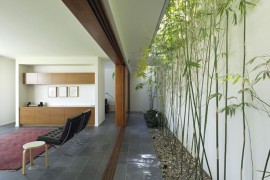 Long and linear courtyard with bamboo