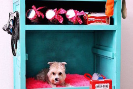 Old cabinet turned into a dog bed with storage space