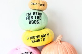 Pastel pumpkins with puns from Studio DIY
