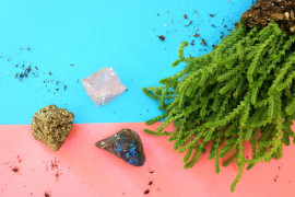 A still life photo from Mirror80