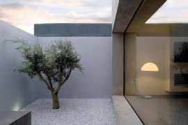 Small and serene courtyard with a touch of greenery