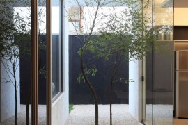 Small courtyard OM House by Studio Guilherme Torres