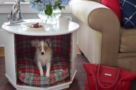 Small living room table with stylish and comfortable dog bed
