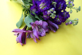 A bouquet of purple flowers