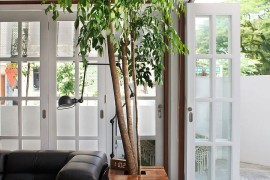 Creative and charming way of adding greenry to your living room