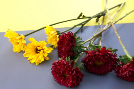 Red and yellow flowers create a lovely contrast