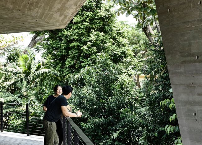 Exquisite Singapore Home with Geometric Façade Feels like an Oasis of