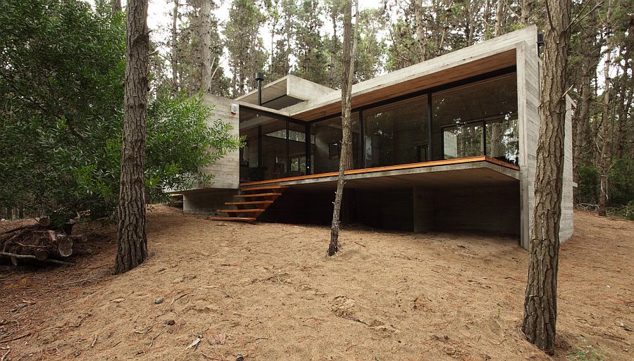 House in the Forest - BAK Architects