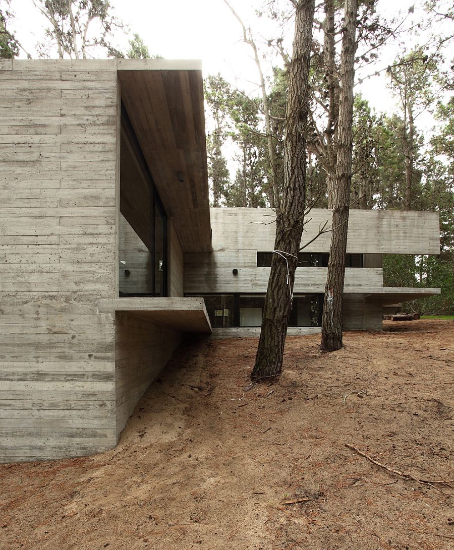 House in the forest