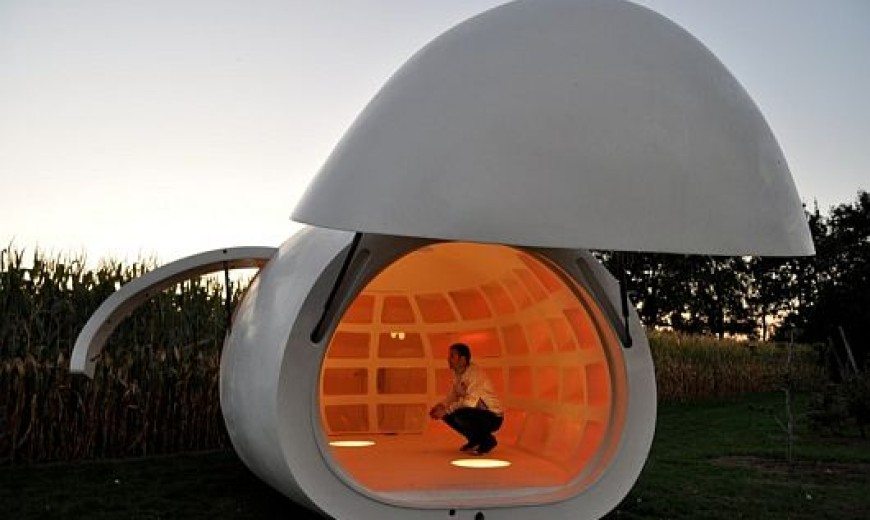 Egg-like Structure Mobile Unit 1