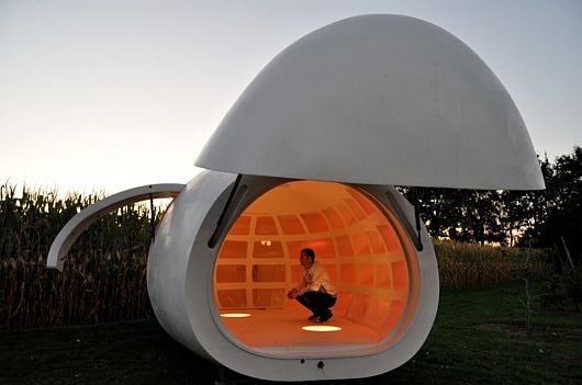 Egg-like Structure Mobile Unit 1