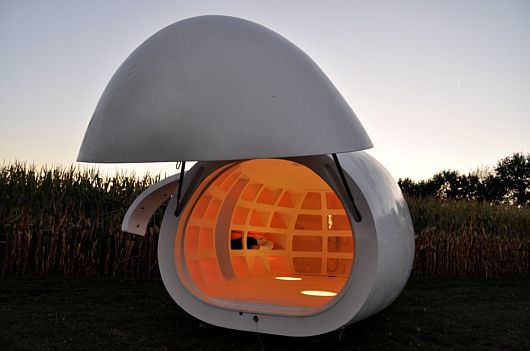 Egg-like Structure Mobile Unit 6