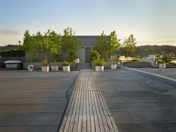 rooftop-residence-in-Seattle-1