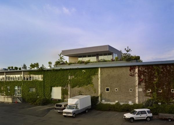 rooftop residence in Seattle 3