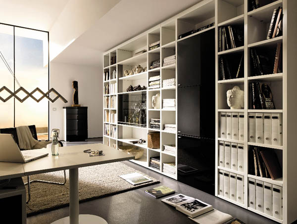 storage-system-for-the-office-office-bookcase