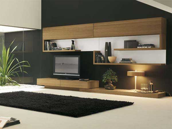 Living-Room-Styles-2011-6