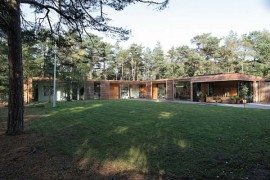 Modern one-storey residence surrounded by pine trees