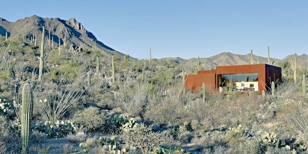 Dreamy Home in Arizona3