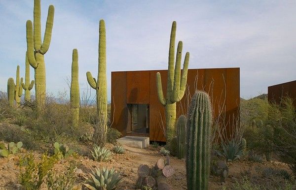 Dreamy Home in Arizona8