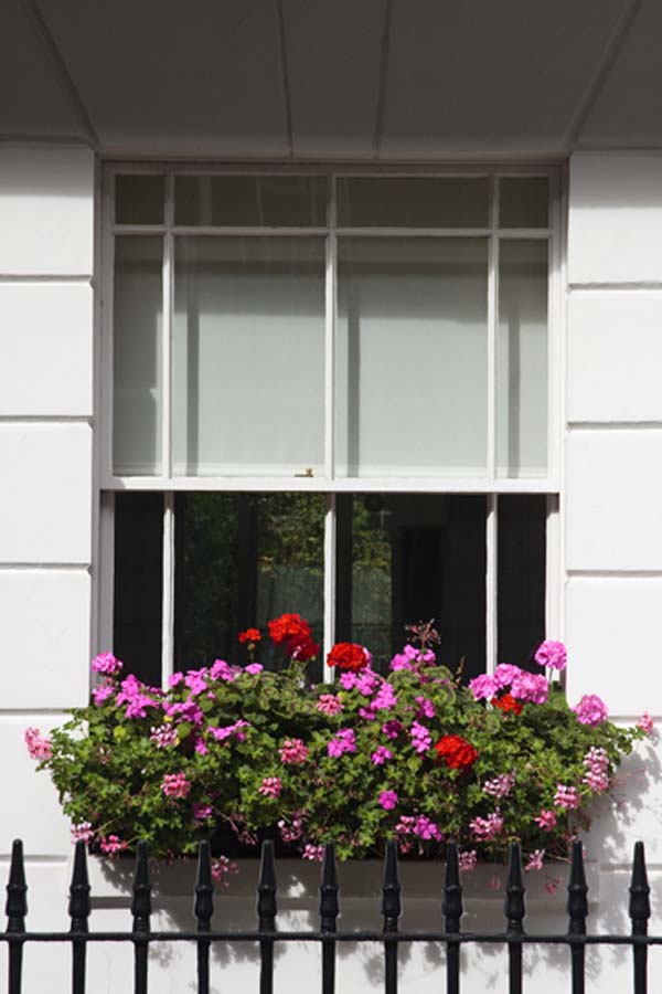 sash and case windows (2)