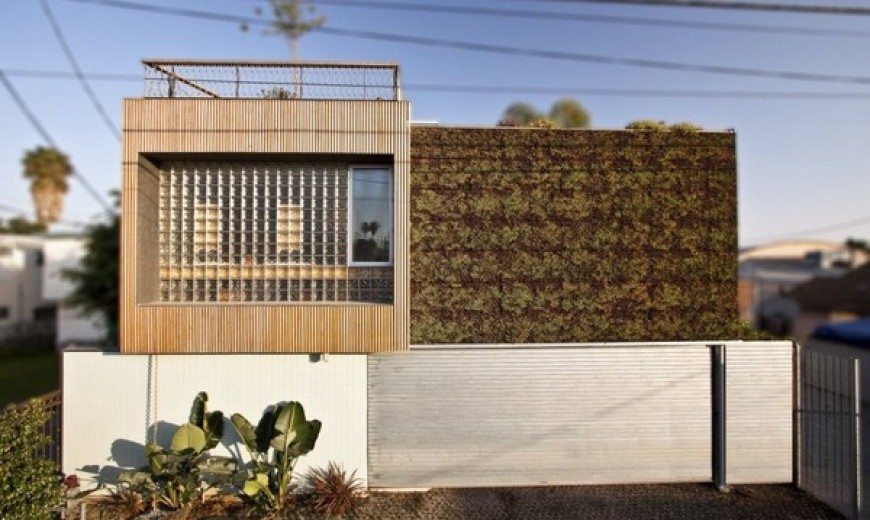 Sustainable residence featuring a living green wall: Brooks Avenue Residence