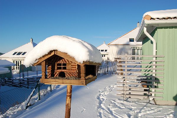 winter house