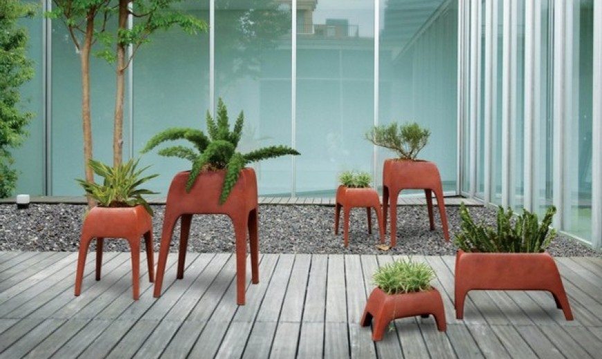 Perfect for contemporary homes: Safari Planters