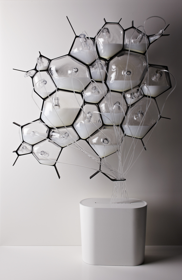 The-Microbial-Home-4