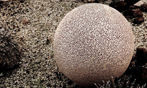 Modern-and-Organic-Sponge-Outdoor-Lamp-4