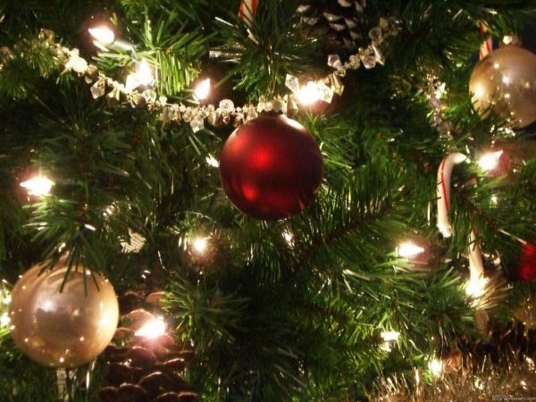 Christmas tree lights decorations