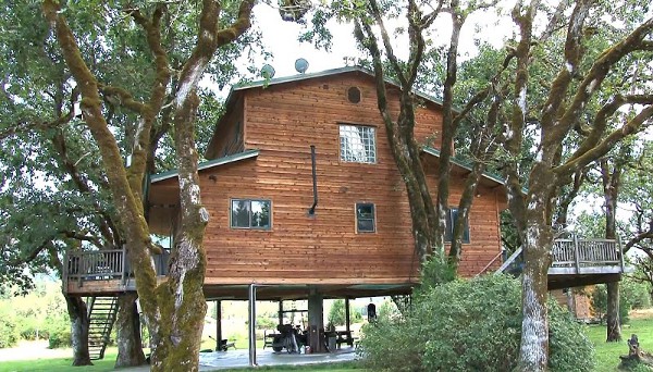 Largest-Tree-House-in-the-World-3