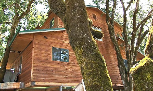 Largest-Tree-House-in-the-World-5