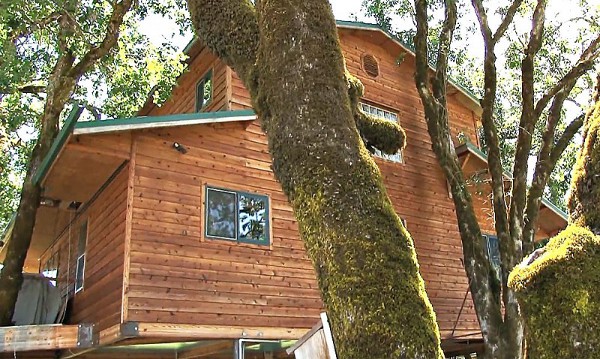 Largest Tree House in the World 5