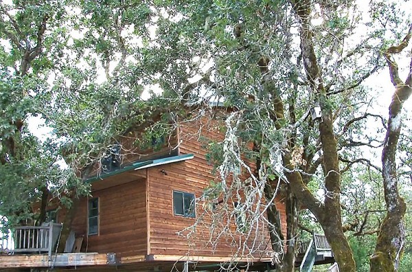 Largest Tree House in the World 7